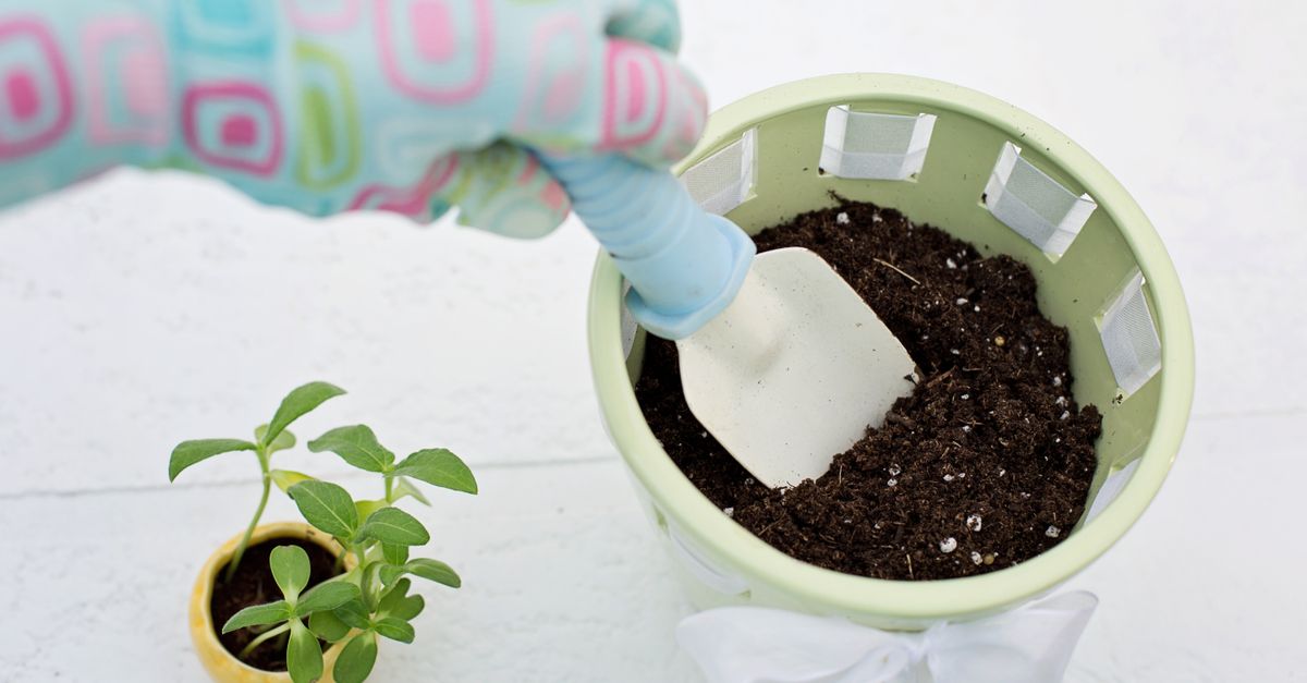 Healing Home & Garden: use cases