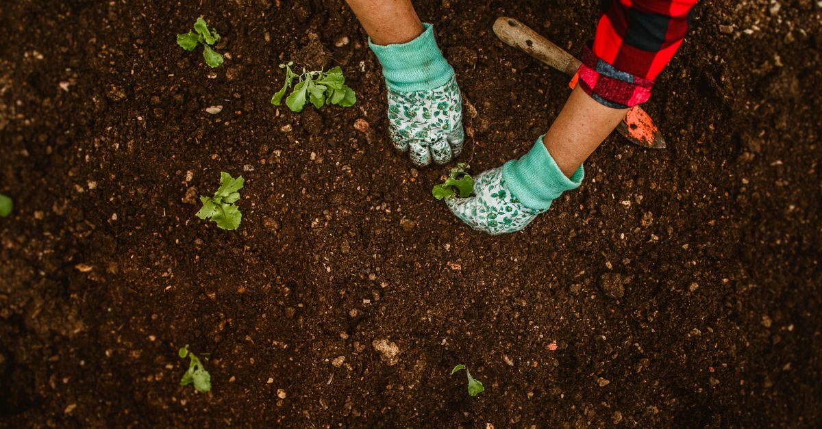Healing Home & Garden: capabilities