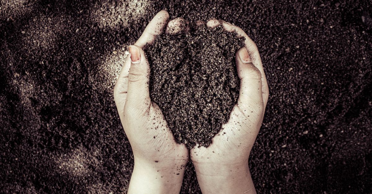 Healing Home & Garden: casos de uso