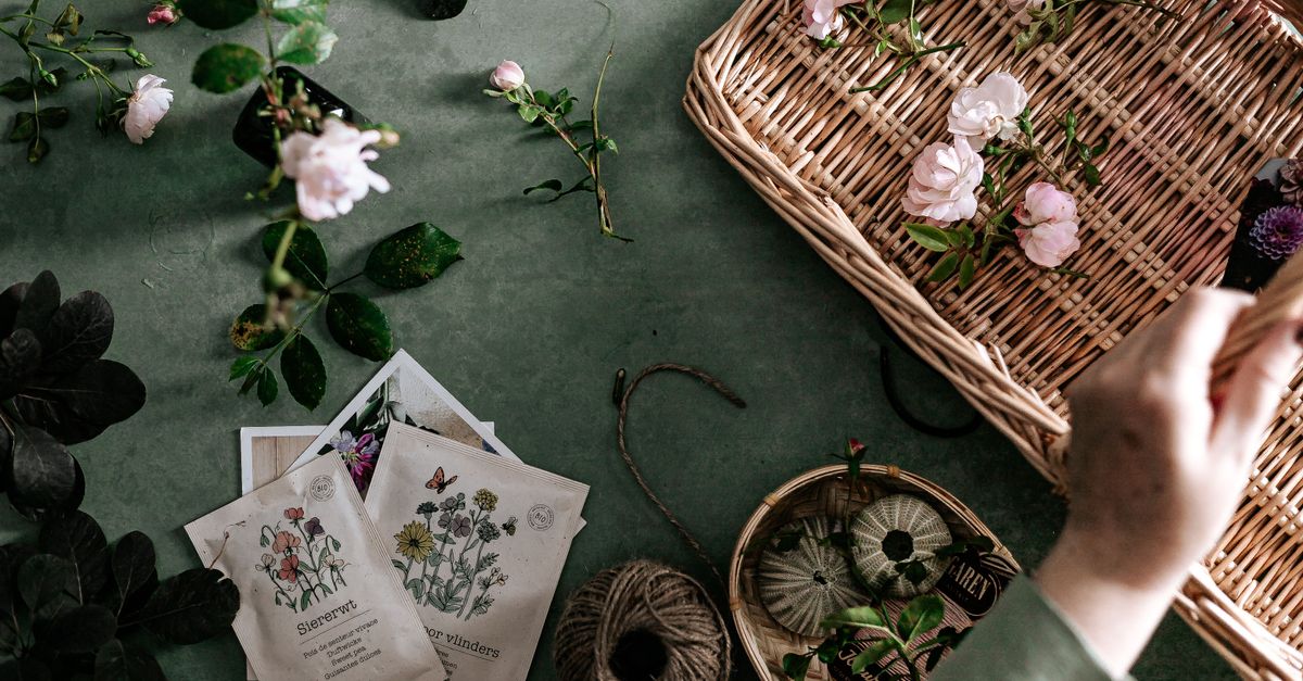 Healing Home & Garden: use cases